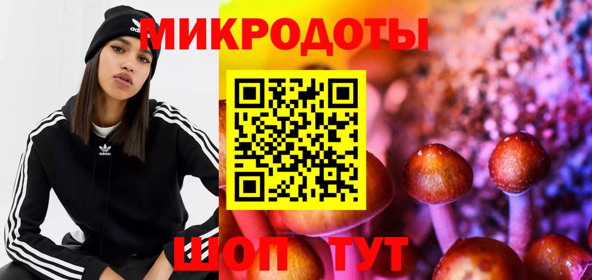 Галлюциногенные грибы прущие грибы  Вход с VPN  Менделеевск 